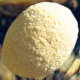 sparrowland006022.jpg